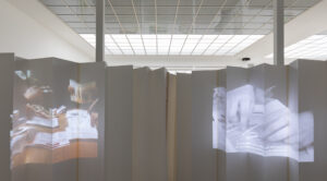 Ariane Mueller. Ausstellungsansicht Secession Wien 2025 © Oliver Ottenschlaeger